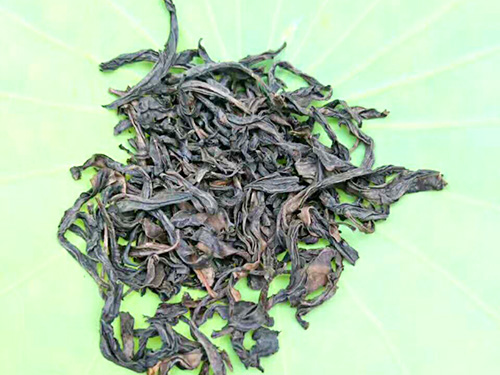 严羽茶叶