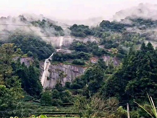 严羽茶叶产地