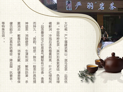 严羽茶叶