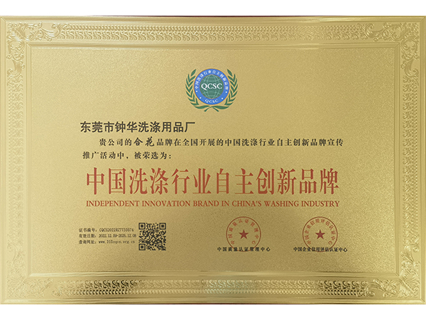 中国洗涤行业自主创新...
