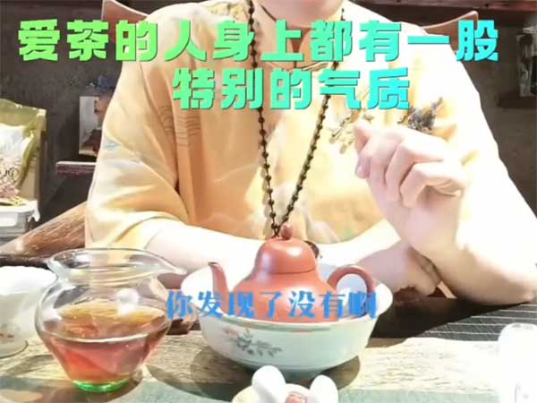 茶之气质
