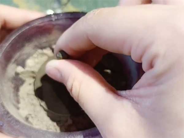 沉浸式喝茶